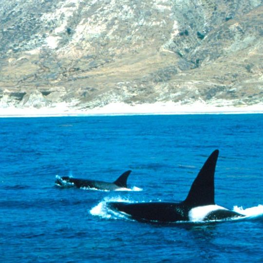 Channel Islands National Marine Sanctuary