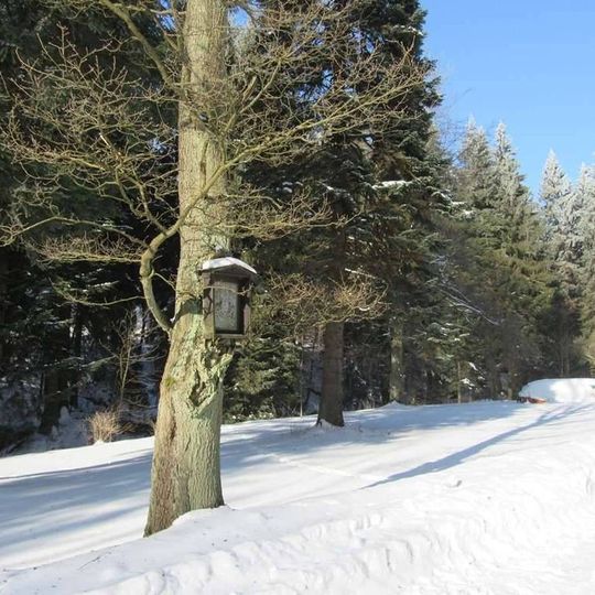 Obrázek severovýchodně od Branné u hájovny