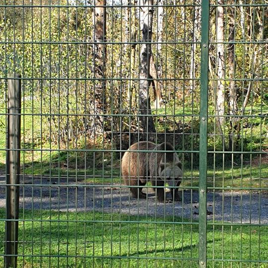 Gnadenhof für Bären