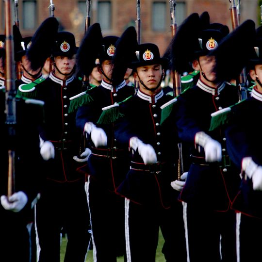 His Majesty The King's Guard