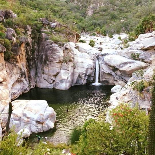 Reserva de la Biósfera Sierra La Laguna