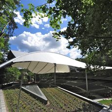 Forest Opera