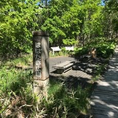 はばたき広場