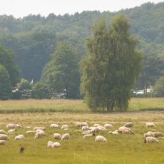 Stecknitz-Delvenau-Niederung