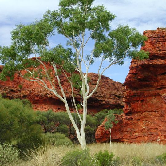 Kings Canyon