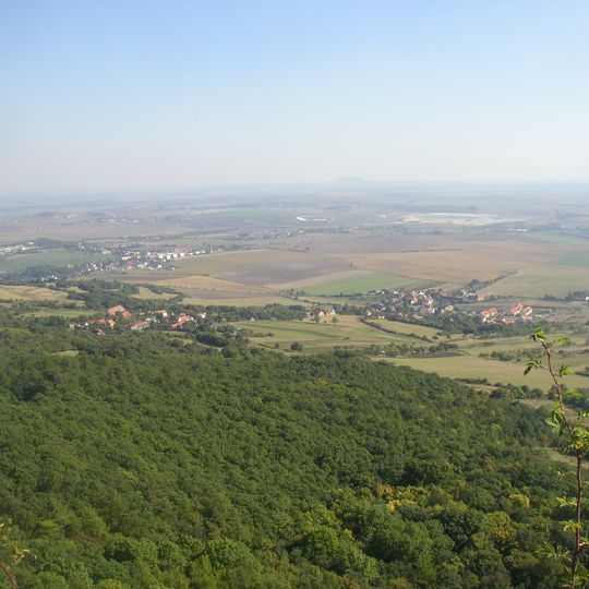 Jenčice
