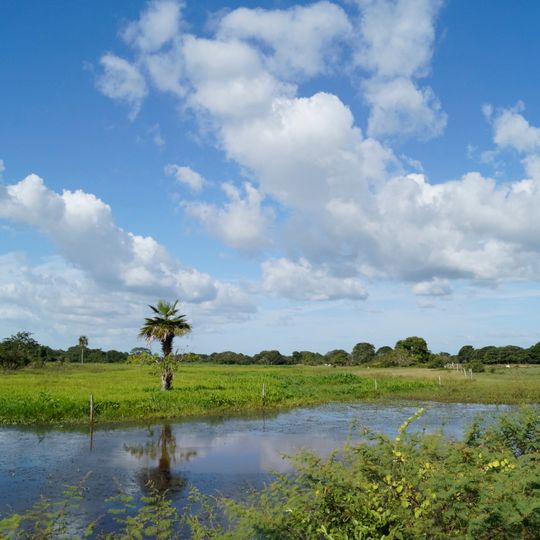 Los Llanos Region