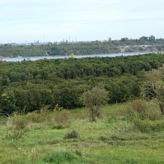 Bergbaufolgelandschaft Kayna-Süd