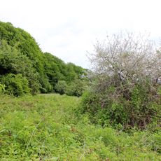 Deggendorfer Himmelreich