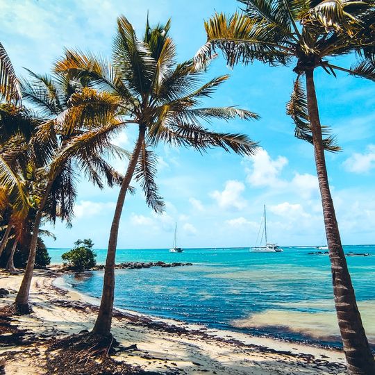 Plage d'Anse Champagne