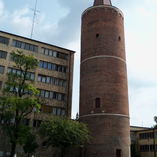 Staw Zamkowy Barlickiego