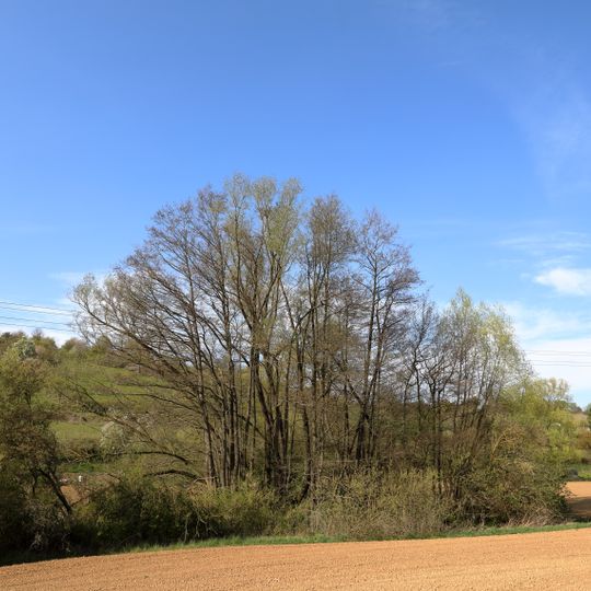 Auewald Balbach Herbstwiesen