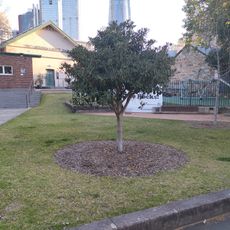 Nita McCrae Park