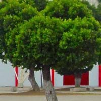 Norte de Santander Department