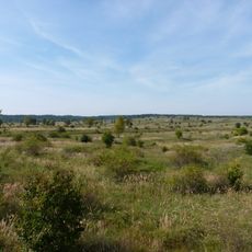 Pod Benáteckým vrchem