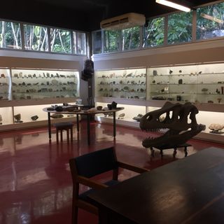 Geosciences Museum at the Institute of Geosciences of the University of São Paulo