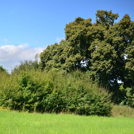 Lípa pod Úhoštěm