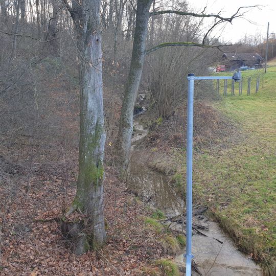 Ufergehölz Braikinbach