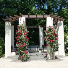 Rosengarten der Stadt Köln