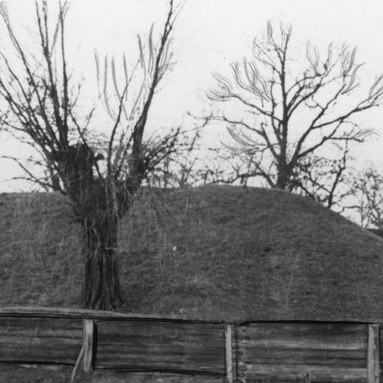 Davyd-Haradok Castle