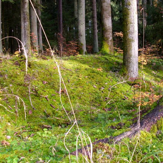 Viereckschanze Bildechingen