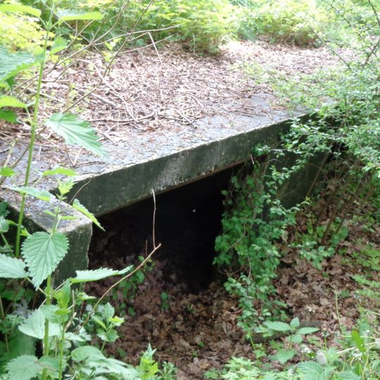 Fort Vechten, Schuilplaatsen type 1915