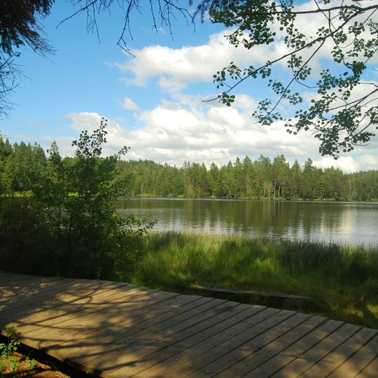 Etang de la Gruère