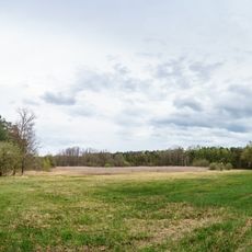 Wet meadow Eichenpfuhl north of Schildau