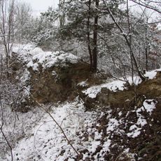 Pastvina u Přešťovic