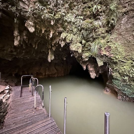 Waitomo Caves