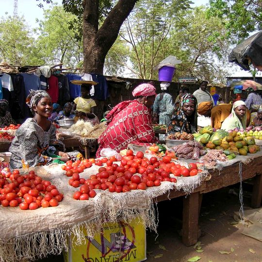 Circondario di Sikasso