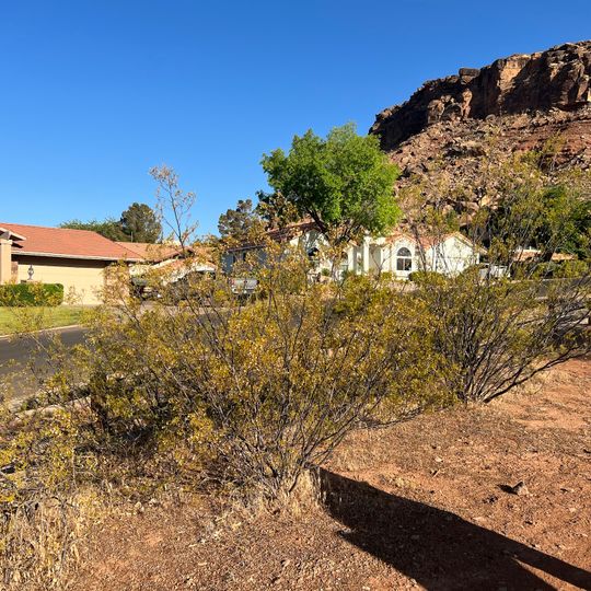 Bloomington Petroglyph Park