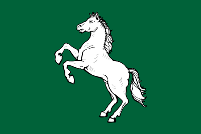 Flag 3