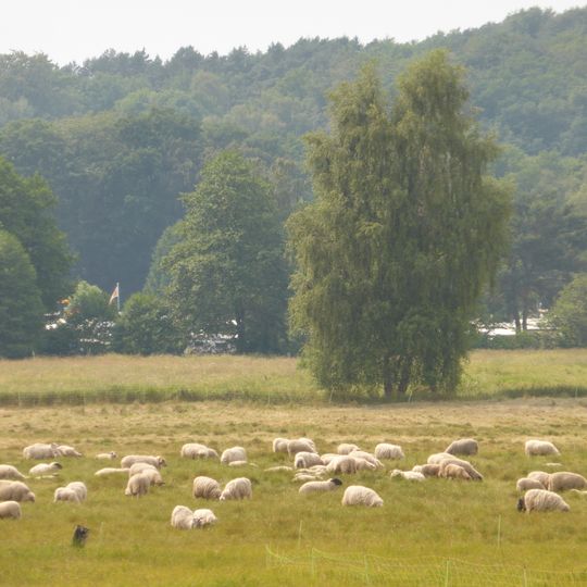 Stecknitz-Delvenau-Niederung