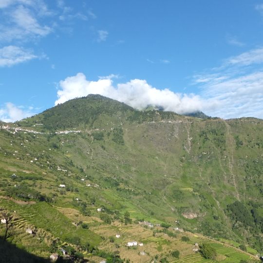 Kalikot