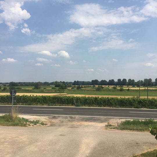 Erweiterung Laubenheimer - Bodenheimer Ried