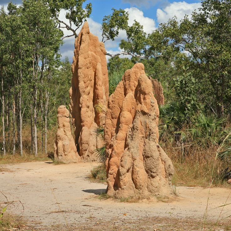 Litchfield-Nationalpark