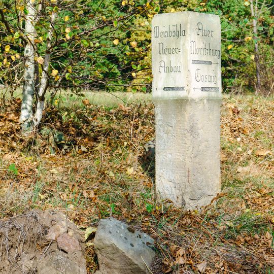 Coswig Weinböhla Wegestein
