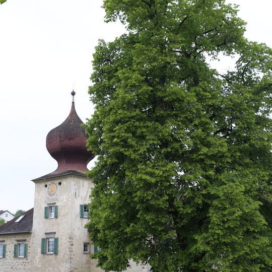 Linde beim Altersheim Gneisenau