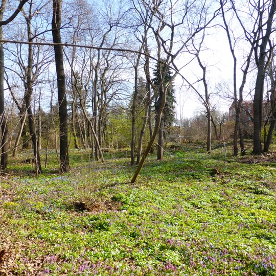 Botanical Garden named after Rostovtsev