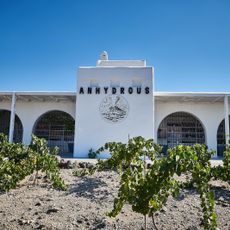 Avantis Anhydrous Cellar Door