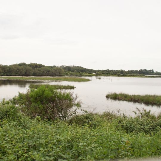 Réserve naturelle régionale des terres et étangs de Brenne, Massé, Foucault