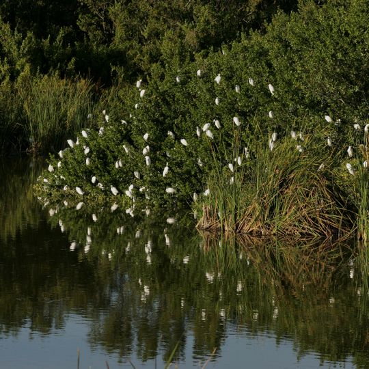 Everglades & Dry Tortugas