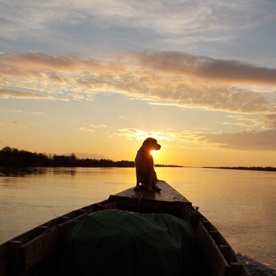 Evros Delta National Park