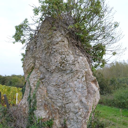 Menhirs des Pierres Meslières