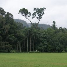 Jardin botanique de Peradeniya