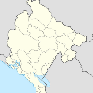 Bršljanica (langub sa Montenegro, lat 42,55, long 19,40)