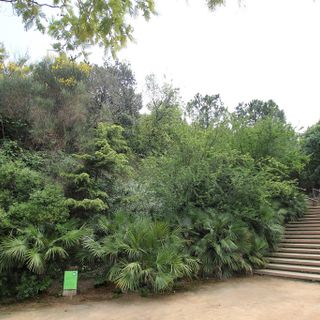 Jardins de Mercè Rodoreda