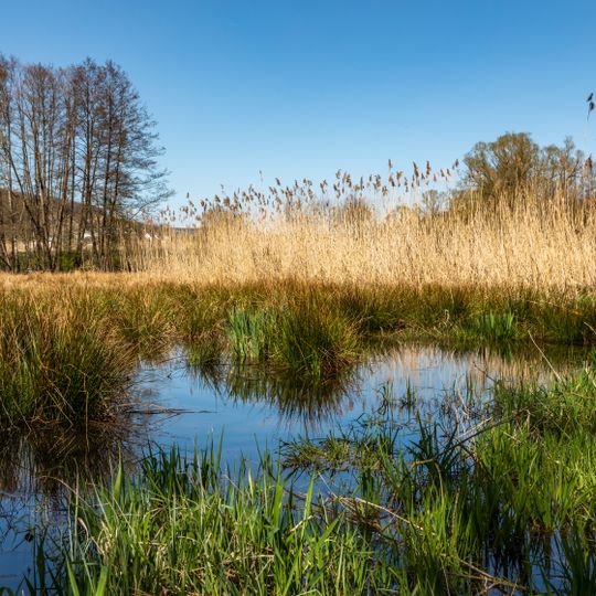 Lohmühlenteich südlich Eibelshausen