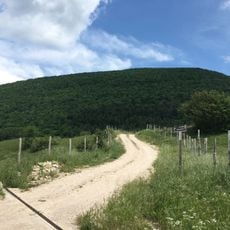 Riserva naturale statale Gola del Furlo
